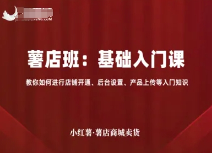 小红薯薯店商城卖货，基础入门课，教你如何进行店铺开通、后台设置、产品上传等入门知识-蚂蚁汇资源分享项目网