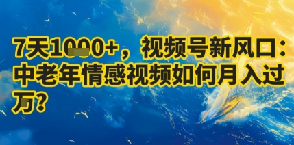 7天收益1k+，视频号新风口：中老年情感视频如何月入过W?-蚂蚁汇资源分享项目网