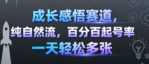 成长感悟赛道，纯自然流，百分百起号率 一天轻松多张-蚂蚁汇资源分享项目网