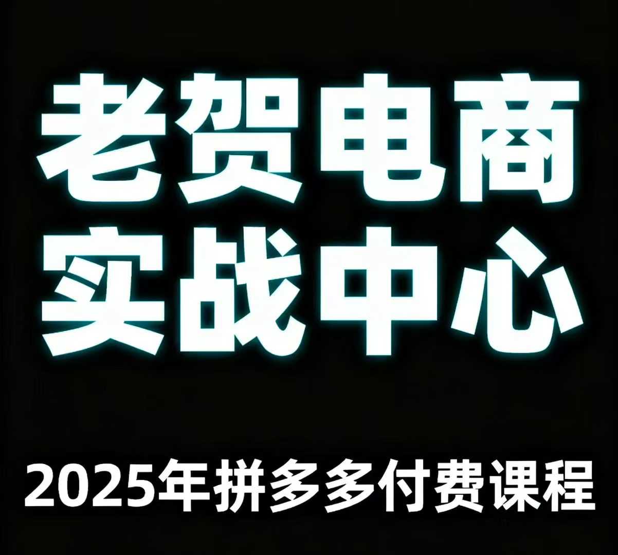 老贺电商2025年拼多多付费课程，用通俗易懂的方法告诉你多多怎么玩-蚂蚁汇资源分享项目网
