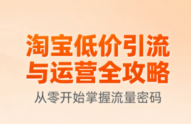 淘宝低价引流与运营全攻略(更新9月)-蚂蚁汇资源分享项目网