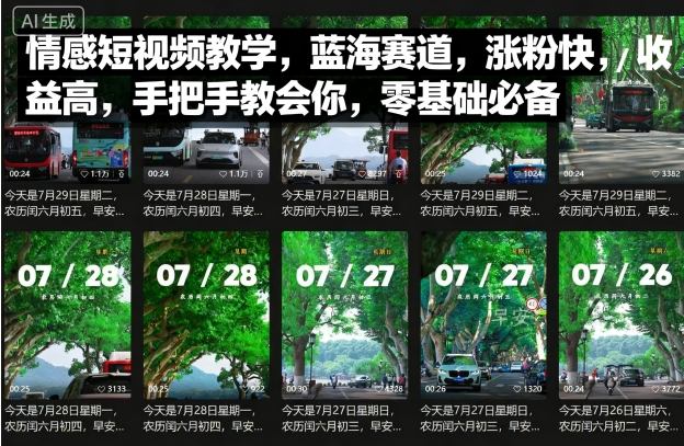 情感短视频教学，蓝海赛道，涨粉快，收益高，手把手教会你，零基础必备-蚂蚁汇资源分享项目网