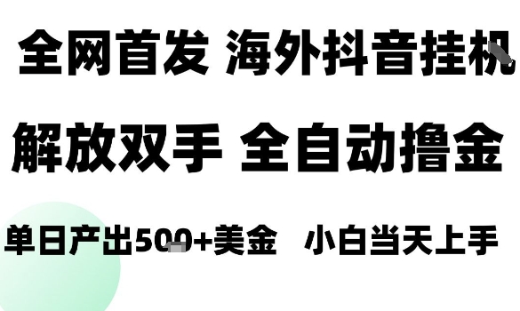 海外抖音无人直播，单日产出1.5k+，长期稳定，新手可玩，无脑操作【揭秘】-蚂蚁汇资源分享项目网