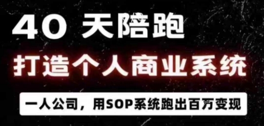 40天陪跑打造个人商业系统，一人公司，用SOP系统跑出百W变现-蚂蚁汇资源分享项目网