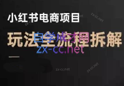 菲菲老师·小红书电商玩法(更新9月)-蚂蚁汇资源分享项目网