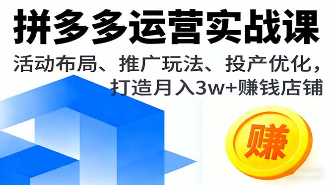 拼多多运营实战课，活动布局、推广玩法、投产优化，打造月入3w+赚钱店铺-蚂蚁汇资源分享项目网
