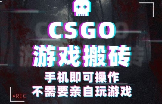 CSGO游戏挂G捡漏，单日扫货5张+，年底小高峰上车可吃肉，手机即可操作，兼职副业创业网创【揭秘】-蚂蚁汇资源分享项目网
