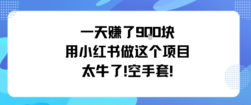 一天挣了9张用小红书做这个项目太牛了，空手套-蚂蚁汇资源分享项目网
