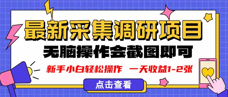 新版采集调研项目，截图上传即可，无脑操作，日收益1-2张-蚂蚁汇资源分享项目网