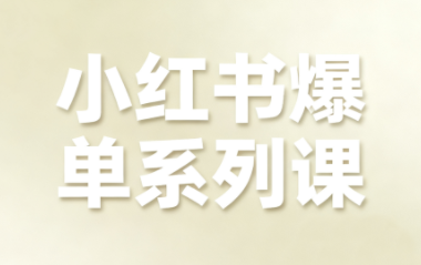 尼采老师·小红书爆单系列课-蚂蚁汇资源分享项目网