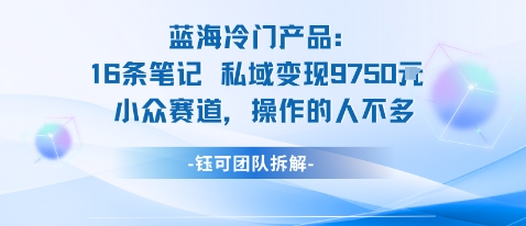 蓝海项目：16条笔记私域变现9750米小众赛道操作的人不多-蚂蚁汇资源分享项目网