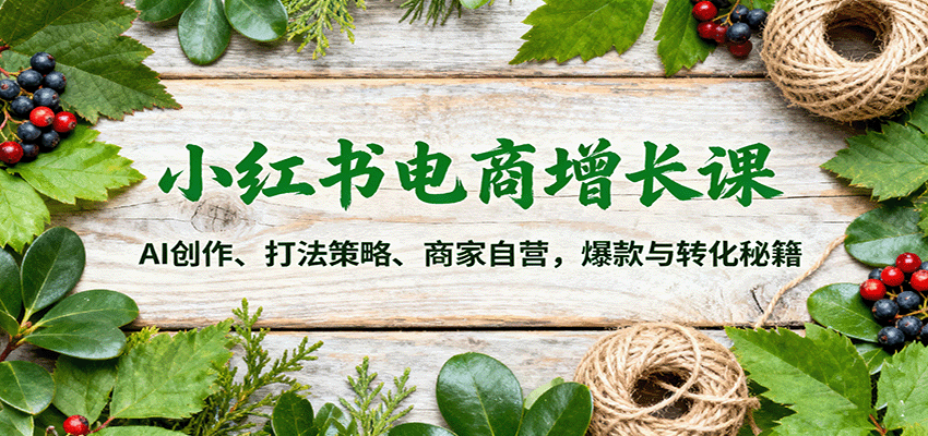 小红书电商增长课：AI创作、打法策略、商家自营，爆款与转化秘籍-蚂蚁汇资源分享项目网