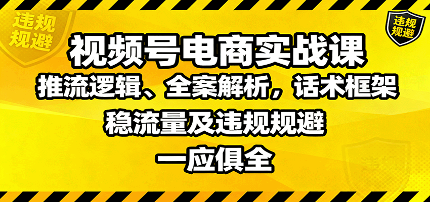视频号电商实战课：推流逻辑、全案解析，话术框架，稳流量及违规规避等-蚂蚁汇资源分享项目网