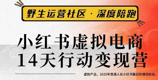 小红书虚拟电商14天变现训练营3.0，​虚拟产品，2025年普通人在小红书最后的搞钱机会-蚂蚁汇资源分享项目网