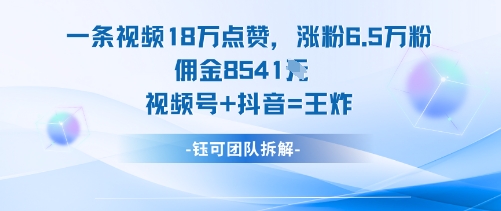 一条视频18W点赞，涨粉6.5W粉佣金8541米，视频号+抖音=王炸-蚂蚁汇资源分享项目网