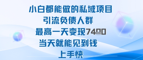 2025年小白都能做的私域项目引流负债人群最高一天变现1k+高变现难度低当天就能见到钱上手快-蚂蚁汇资源分享项目网