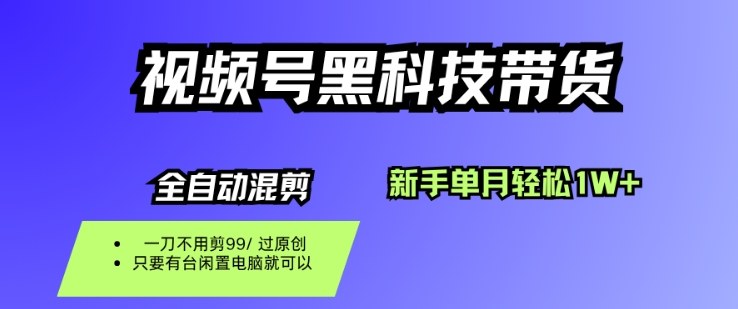 视频号黑科技短视频带货，新手一个月也1W+，纯搬运一刀不用剪，零投入【揭秘】-蚂蚁汇资源分享项目网