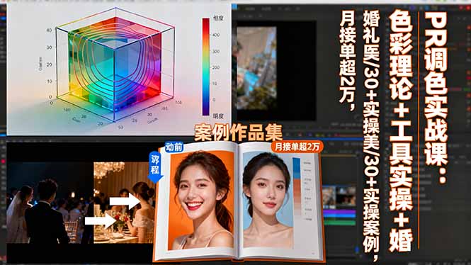 PR调色实战课：色彩理论+工具实操+婚礼医美/30+实操案例，月接单超2万-蚂蚁汇资源分享项目网