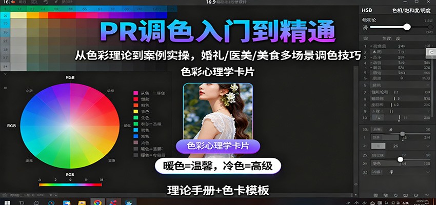 PR调色入门到精通：从色彩理论到案例实操，婚礼/医美/美食多场景调色技巧-蚂蚁汇资源分享项目网