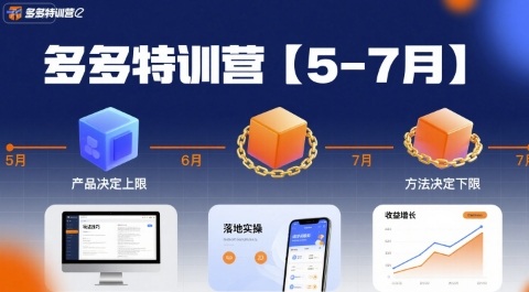 多多特训营，产品决定上限，方法决定下限，各种玩法技巧落地实操(更新)-蚂蚁汇资源分享项目网