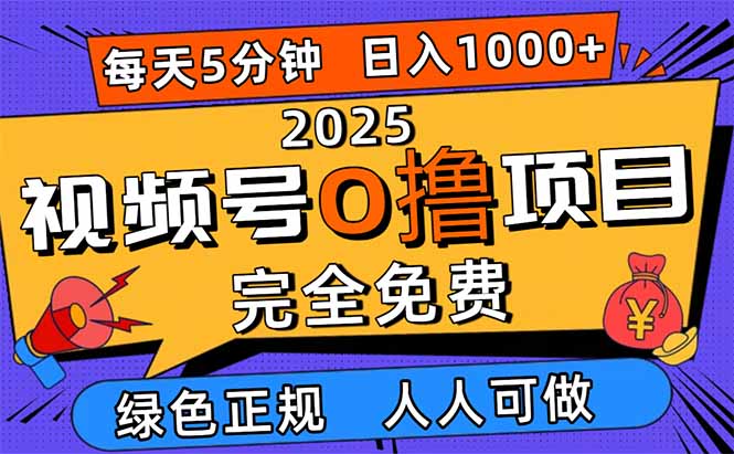 2025视频号0撸项目，5分钟一个号，日入1000+，人人可做-蚂蚁汇资源分享项目网