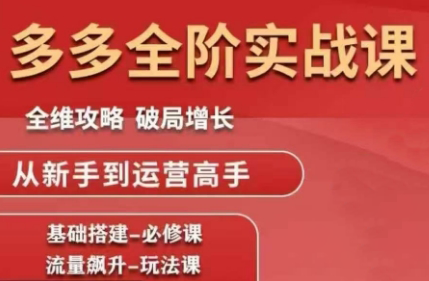 大炮·拼多多全阶实战课程(更新10月)-蚂蚁汇资源分享项目网