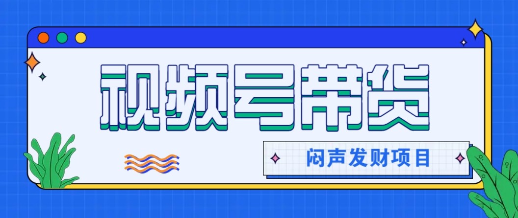 微信视频号带货项目,轻松日赚赚2000+,这个挣钱入口很多伙伴都在闷声发财-蚂蚁汇资源分享项目网
