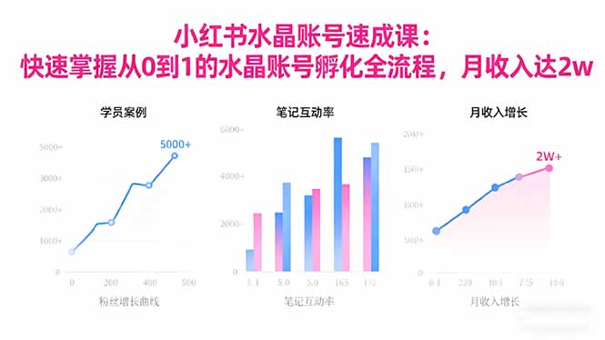 2025小红书水晶账号速成课：快速掌握从0-1水晶账号孵化全流程，月收入达2w-蚂蚁汇资源分享项目网