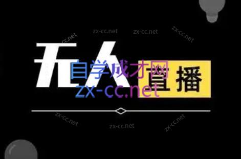 宝子哥·无人直播-非实时防风技术(更新11月)-蚂蚁汇资源分享项目网