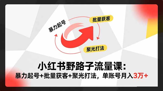 小红书野路子流量课：暴力起号+批量获客+聚光打法，单账号月入3万+-蚂蚁汇资源分享项目网