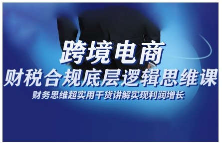 跨境电商财稅合规底层逻辑思维课，财务思维超实用于货讲解实现利润增长-蚂蚁汇资源分享项目网