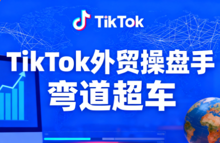 TikTok外贸操盘手(更新11月)-蚂蚁汇资源分享项目网