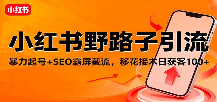小红书野路子引流，暴力起号+SEO霸屏截流，移花接木日获客100+-蚂蚁汇资源分享项目网