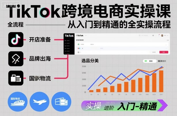 TikTok跨境电商实操课，从入门到精通的全实操流程-蚂蚁汇资源分享项目网
