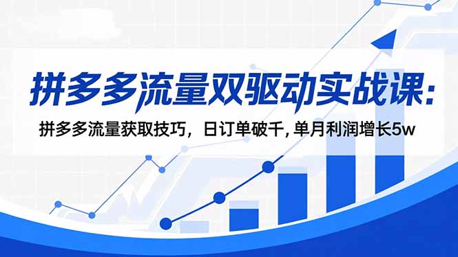 拼多多流量双驱动实战课：拼多多流量获取技巧，日订单破千,单月利润增长5w-蚂蚁汇资源分享项目网
