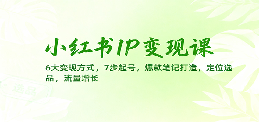 小红书IP变现课：6大变现方式，7步起号，爆款笔记打造，定位选品，流量增长-蚂蚁汇资源分享项目网