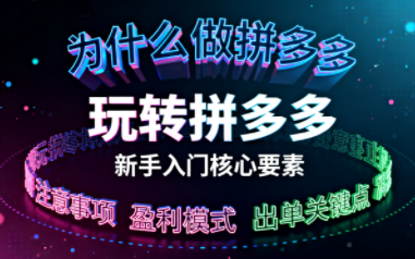 新手小白如何做拼多多-蚂蚁汇资源分享项目网