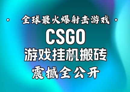 【年底大揭秘】基于全球最火爆的射击CSGO游戏挂G搬砖，日入5张+，震撼公开-蚂蚁汇资源分享项目网