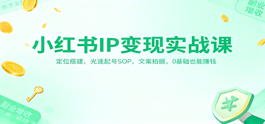 小红书IP变现实战课：定位搭建，光速起号SOP，文案拍摄，0基础也能赚钱-蚂蚁汇资源分享项目网