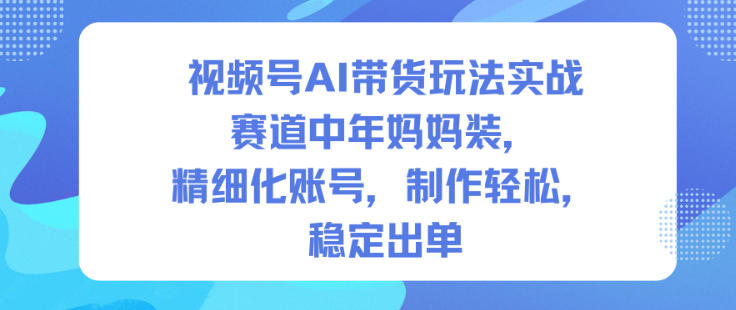视频号AI带货玩法实战，赛道中年妈妈装，精细化账号，制作轻松，稳定出单-蚂蚁汇资源分享项目网