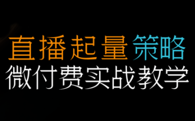 半野老师·直播带货起量与微付费必学课视频号-蚂蚁汇资源分享项目网
