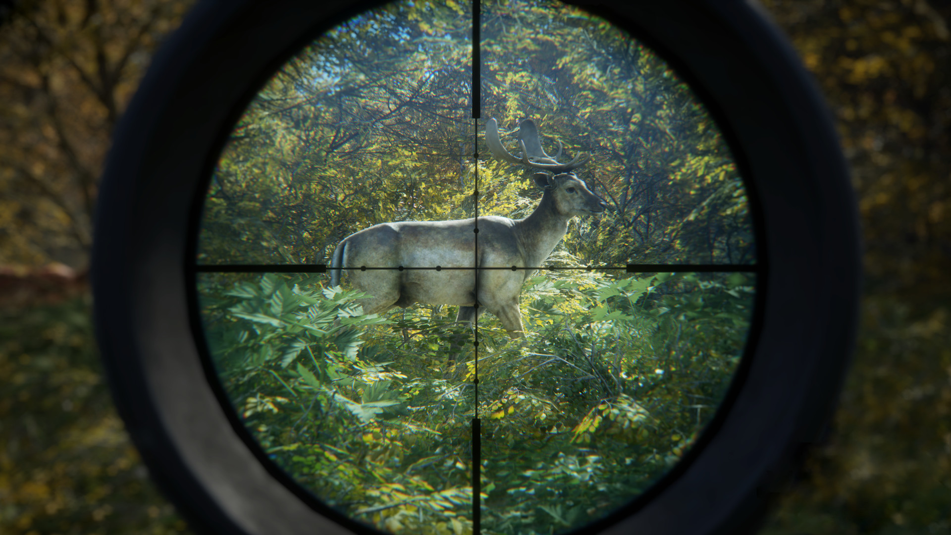 《猎人：荒野的召唤/theHunter: Call of the Wild》PC中文版下载-含v3101875-蚂蚁汇资源分享项目网