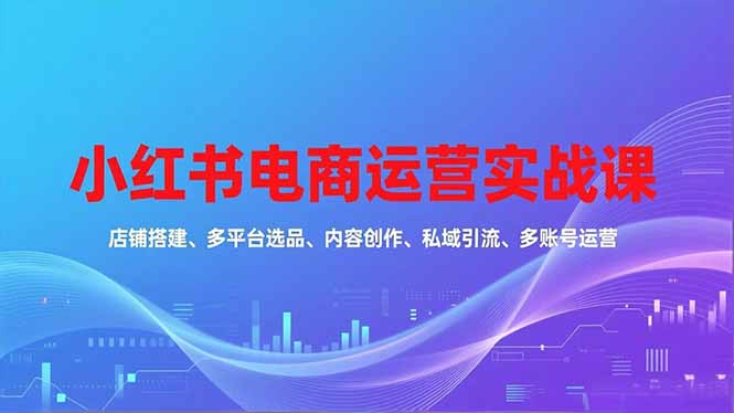 小红书电商运营实战课，店铺搭建、多平台选品、内容创作、私域引流、多账号运营等玩法-蚂蚁汇资源分享项目网