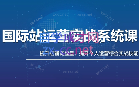 白老师·国际站运营实战系统(高质量询盘增长课)(部分更新)-蚂蚁汇资源分享项目网
