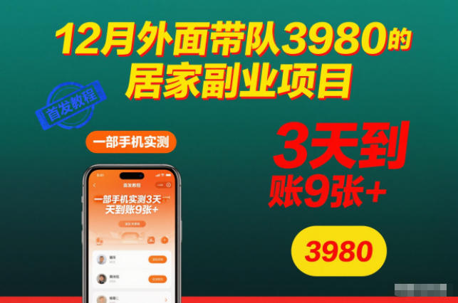 12月外面带队3980的居家副业项目，一部手机实测3天到账9张+，首发教程【揭秘】-蚂蚁汇资源分享项目网