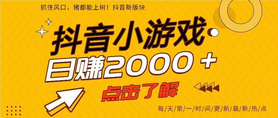 5年爆火的抖音小游戏项目，一部手机日入2000+-蚂蚁汇资源分享项目网
