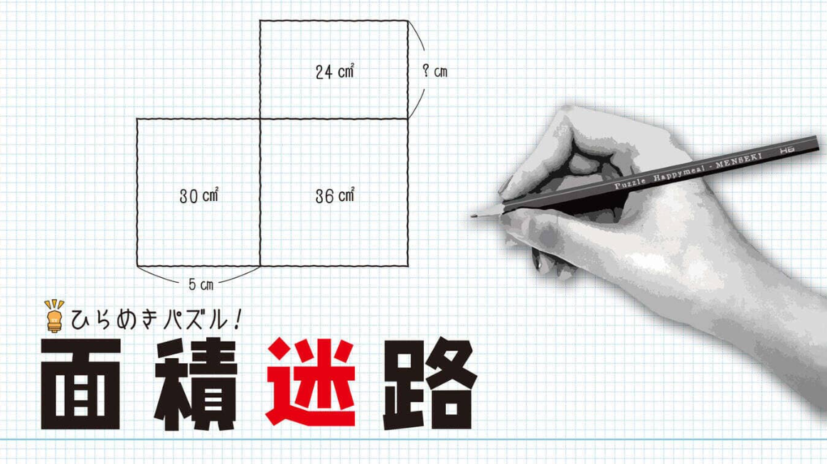《闪烁的拼图 面积迷宫 MENSEKI Area maze puzzles》Switch英日文版NSZ下载-蚂蚁汇资源分享项目网
