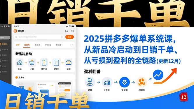 2025拼多多爆单系统课，从新品冷启动到日销千单、从亏损到盈利的全链路(更新12月-蚂蚁汇资源分享项目网