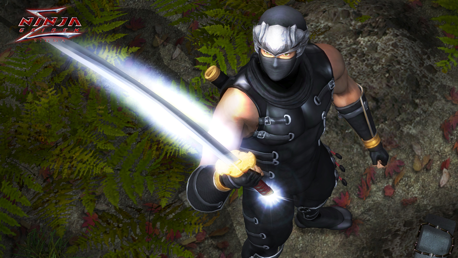 《忍者龙剑传：大师合集/NINJA GAIDEN: Master Collection》PC中文版下载-含v1.0.0.3-蚂蚁汇资源分享项目网