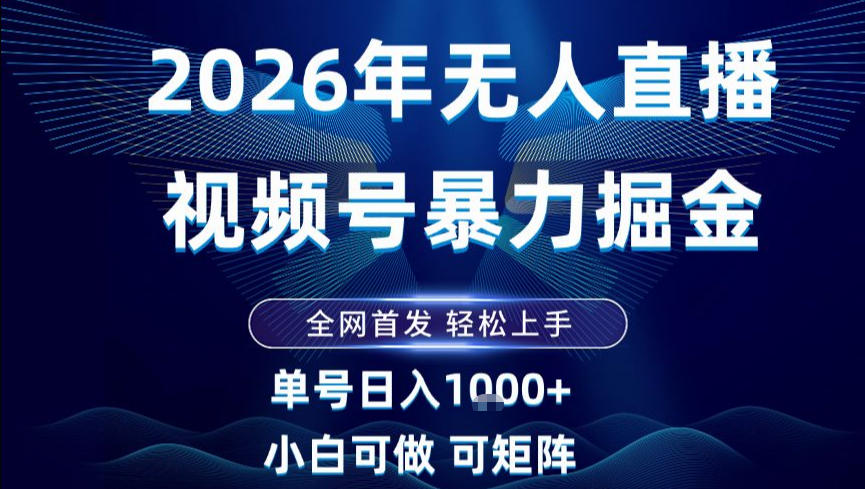 2026最新视频号无人直播掘金，全网首发，小白可以玩，长期稳定日入1k+【揭秘】-蚂蚁汇资源分享项目网